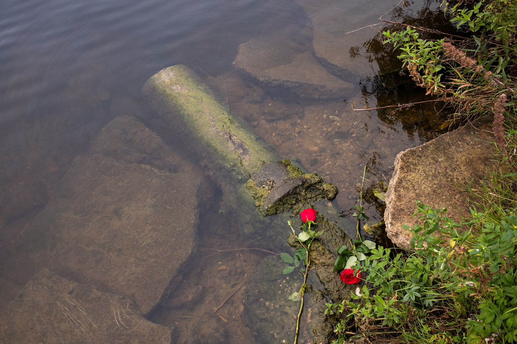 Photograph: Martin Liddament