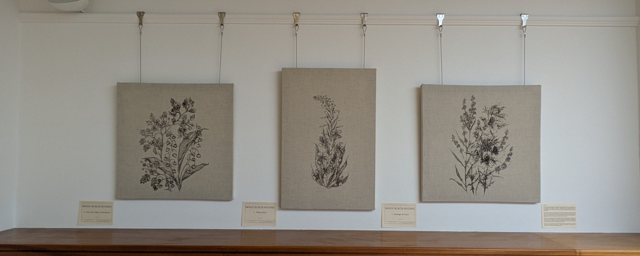 Molly Acacia Hughes: Native flora prints of Willow Herb; Eyebright & Sorrel; Lily of the Valley & Hawthorne